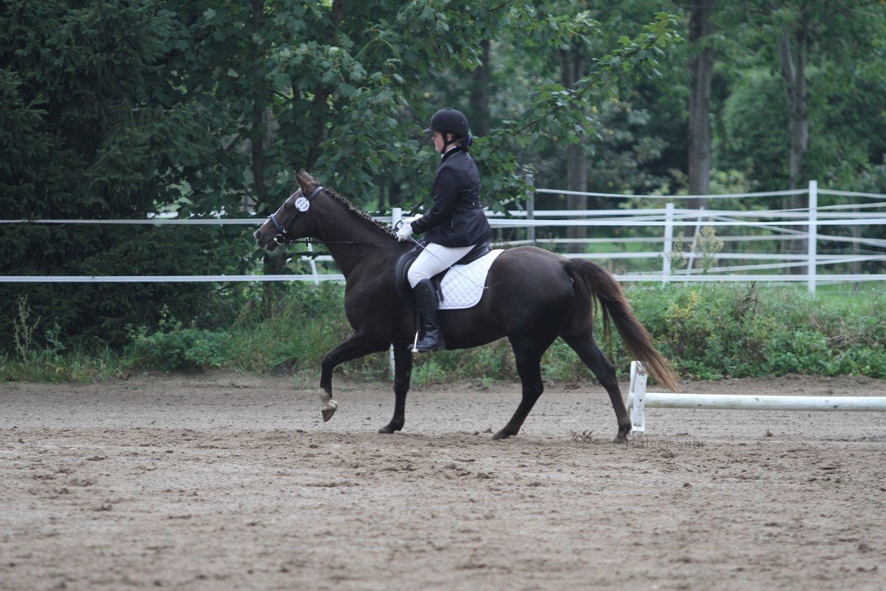Bild 465 - WBO-Turnier am 18.9.11